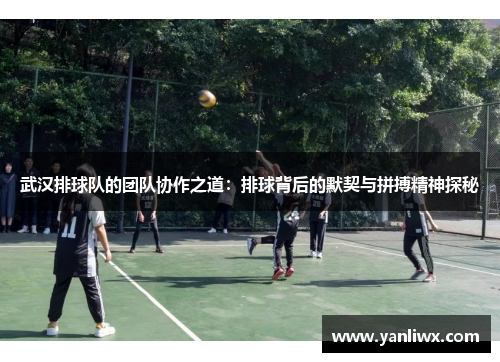 武汉排球队的团队协作之道：排球背后的默契与拼搏精神探秘